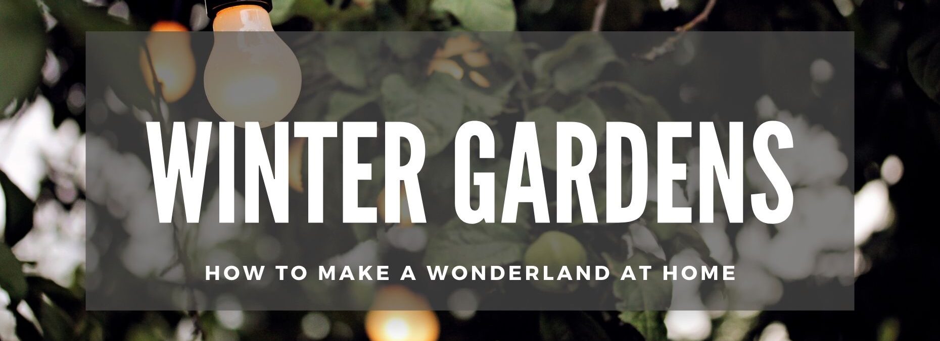 Turn Your Garden Into a Winter Wonderland