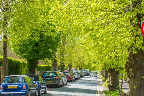 A Local Guide to Combe Down