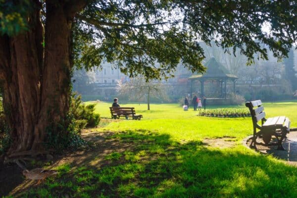 Bath’s Best Neighbourhoods for Young Professionals